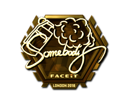 Sticker | somebody (Gold) | London 2018 Sticker | somebody (Gold) | London 2018