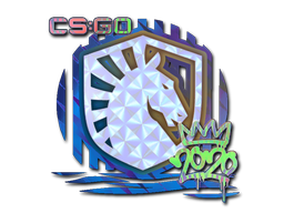 Sticker | Liquid (Holo) | 2020 RMR Sticker | Liquid (Holo) | 2020 RMR