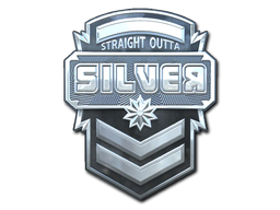 Sticker | Silver (Foil) Sticker | Silver (Foil)